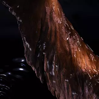 Ingredient Image