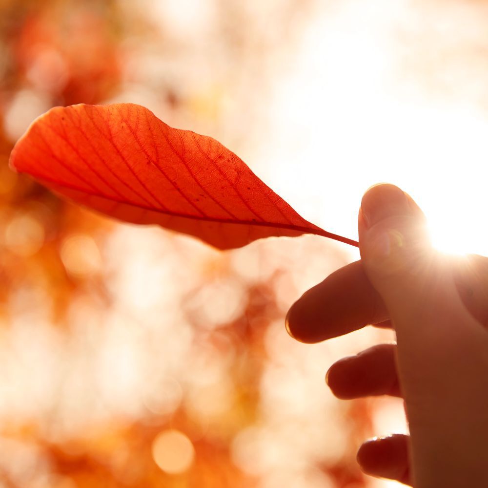 Product Content 1 image