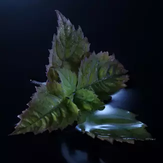 Ingredient Image