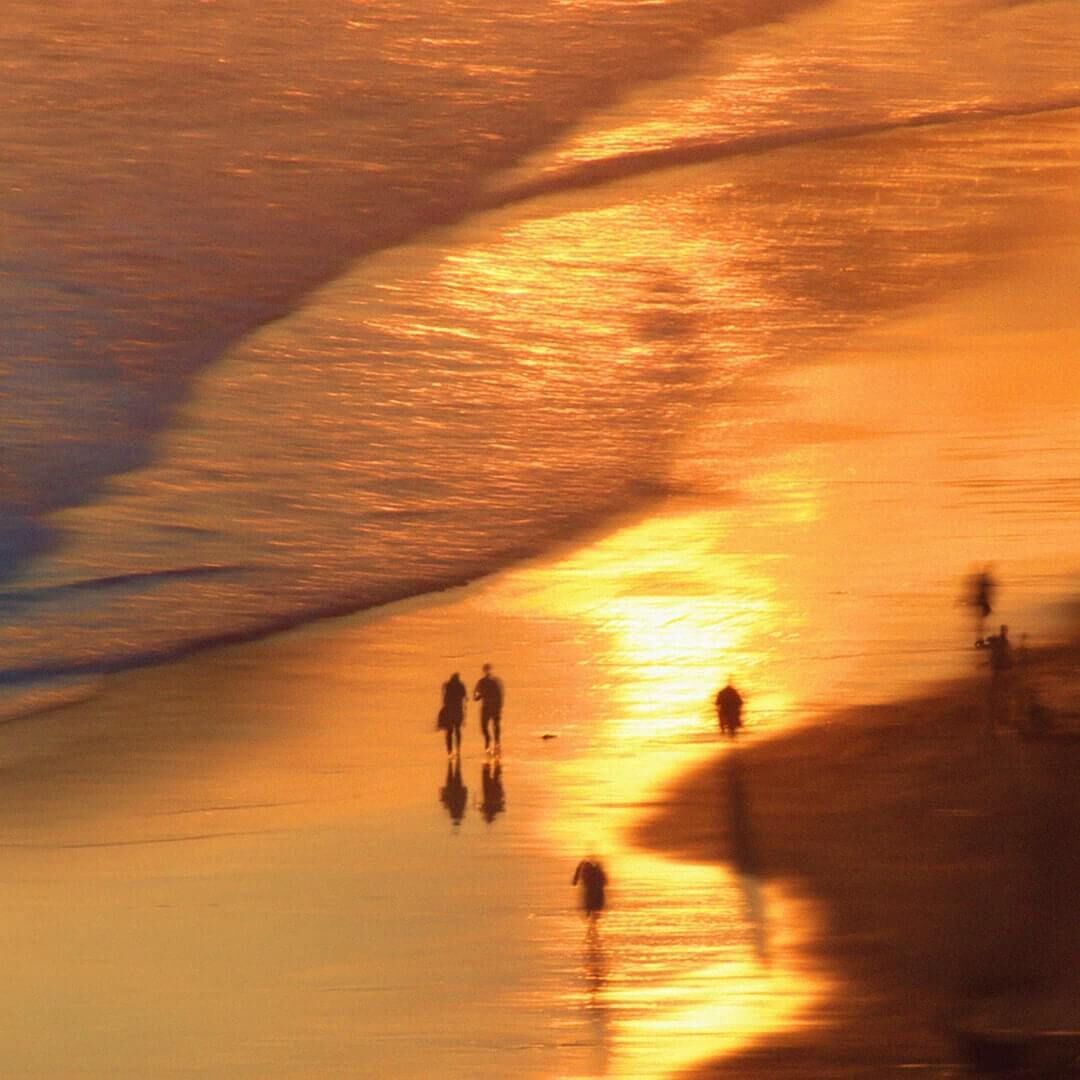 Bottles Collection Sunset on the coast Image