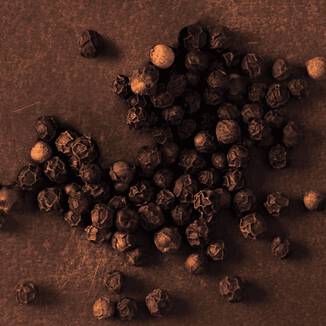 Maison Margiela Ingredients