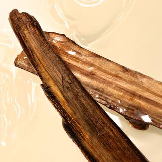 SANDALWOOD HEART ESSENCE