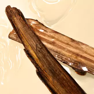 SANDALWOOD HEART ESSENCE
