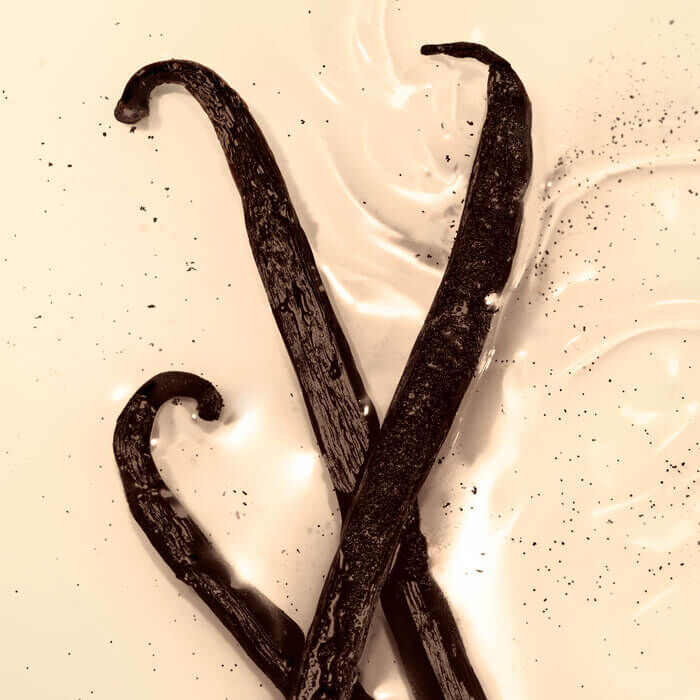 WARM VANILLA MADELEINE