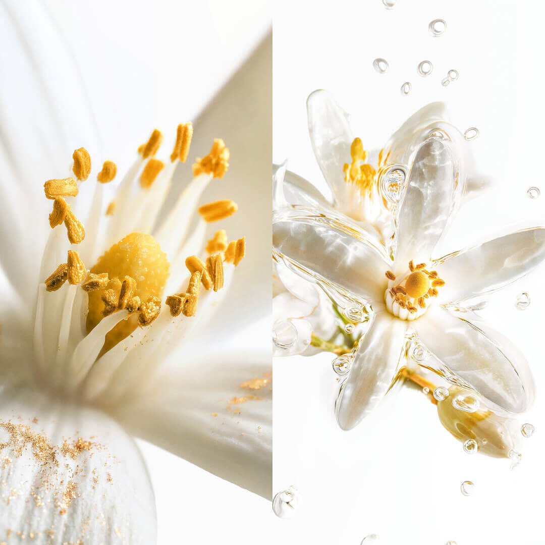 The Scented Prefaces Luminous Neroli Image