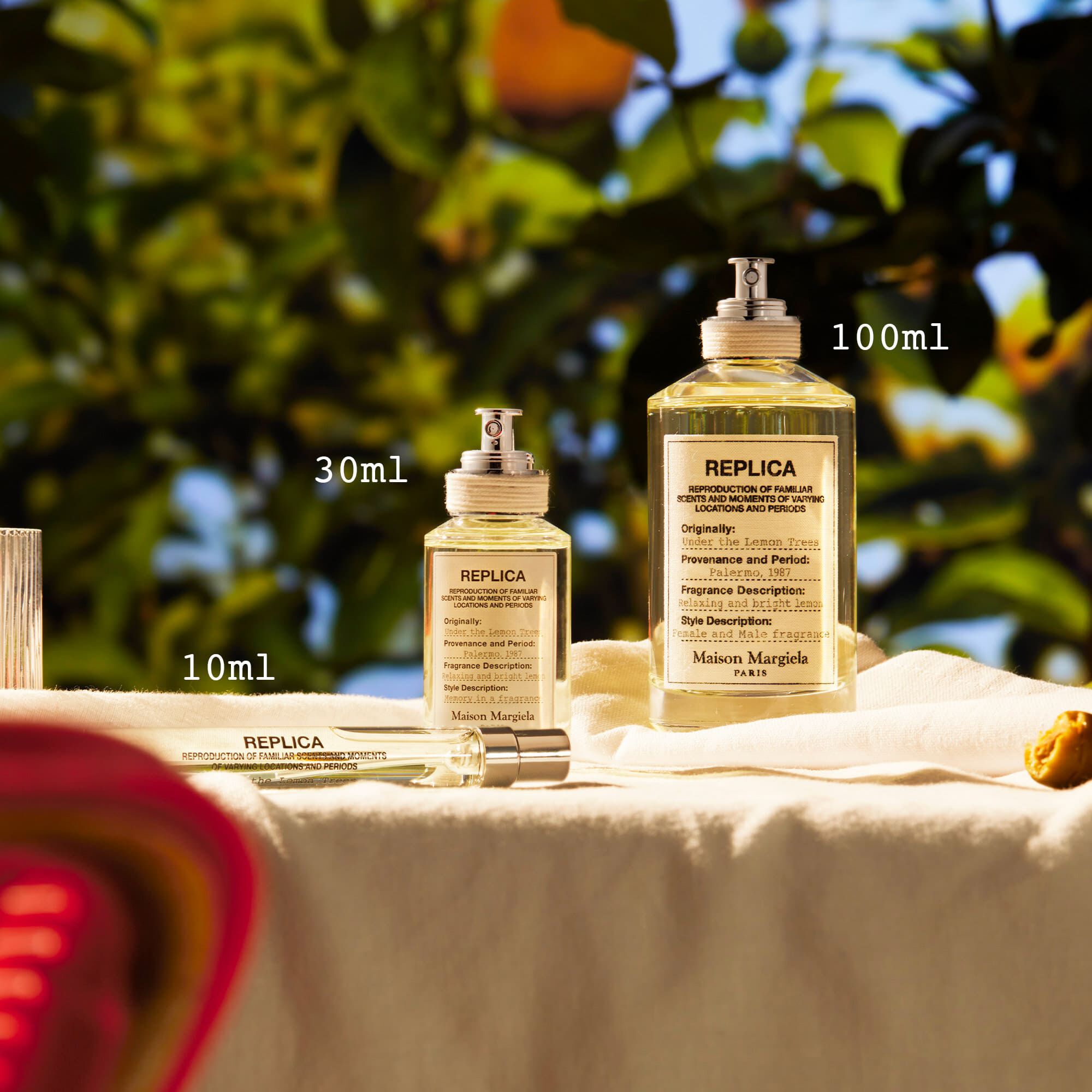 Under lemon shop tree fragrance