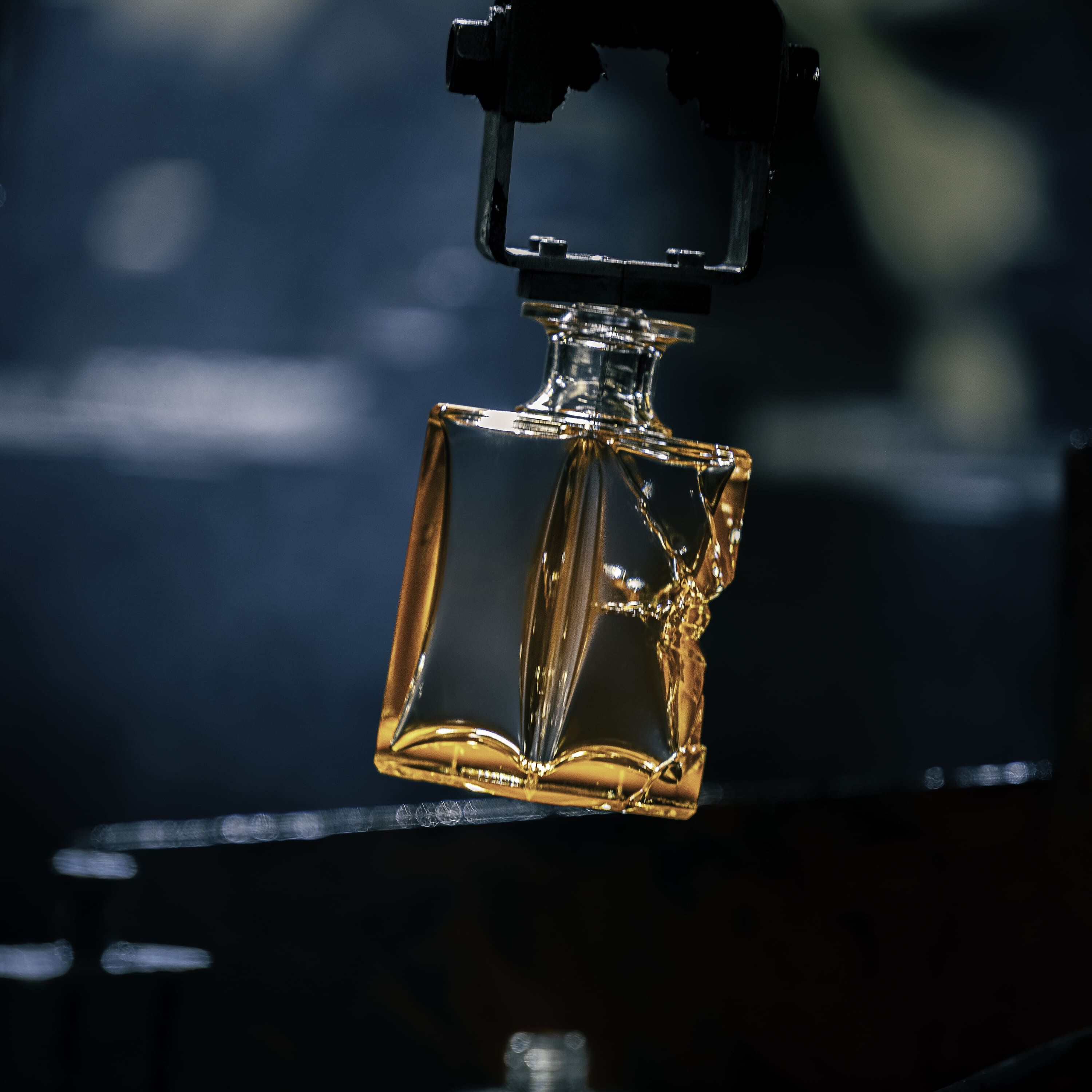 Fit of Folly Parfum | Scentsorium | Maison Margiela